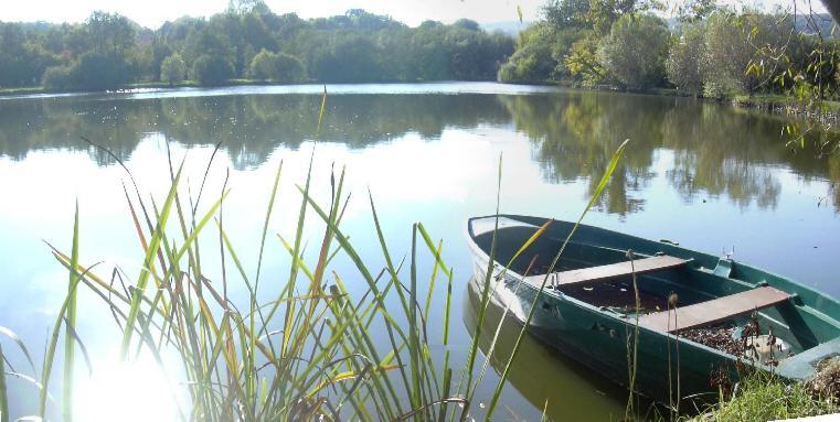 Gite De L'Etang - Parc Des Volcans D'Auvergne Loubeyrat Екстер'єр фото